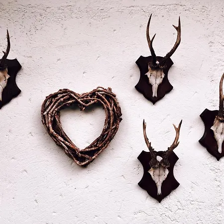 Paintner Hotel Germering