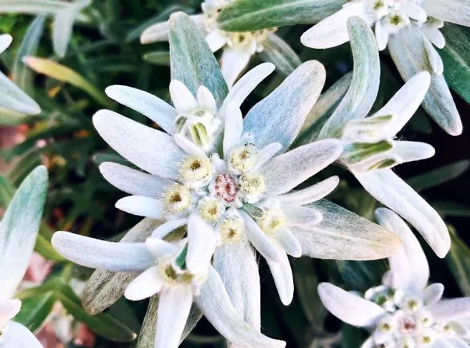 Paintner 3* Germering